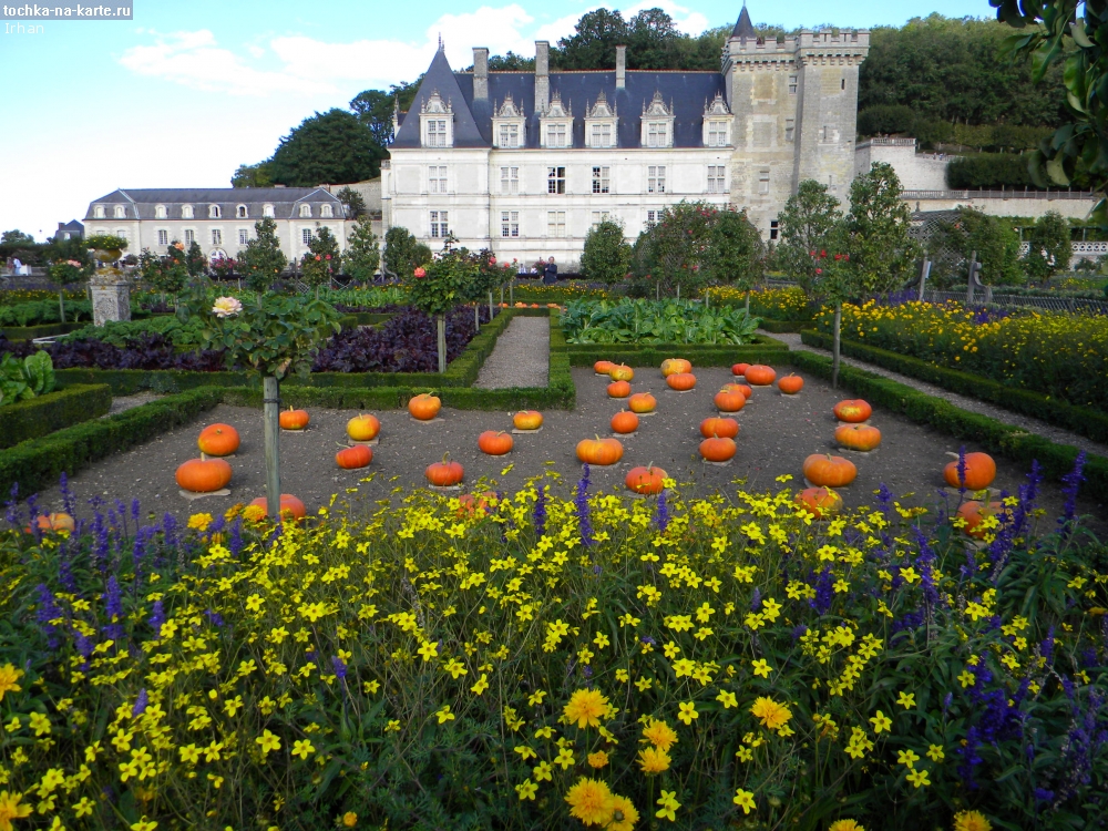 Садовый вк. Сады Вилландри Франция. Замок Вилландри. Замок Вилландри Франция огород. Сады Вилландри на Луаре.