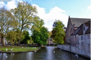 Разное. Лебеди у монастыря Бегинаж в Брюгге