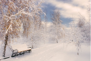 Алматы. После снегопада зимой.